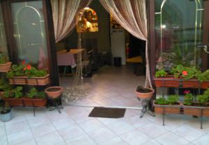 a room with potted plants on display in a store at Bernik rooms in Plomin