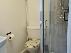 a bathroom with a toilet and a shower at Fern Cottage in Bardon Mill