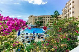 vista para uma piscina num resort com flores em Luxury duplex in Los Cristianos , 6 pax em Los Cristianos