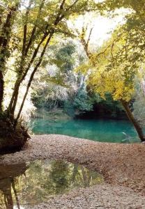 a reflection of a pool of water in a forest at Chez carpet in Salvagnac-Cajarc +4 photos