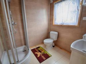 a bathroom with a toilet and a shower and a sink at Mieleńskie Piaski in Mielno