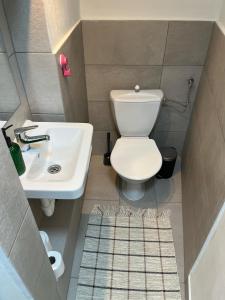 a small bathroom with a toilet and a sink at Cozy apartment close to Palmovka in Prague