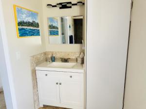 a bathroom with a white sink and a mirror at Beautiful Island Villa - Beach Access on Private 2 Acres in Moss Town