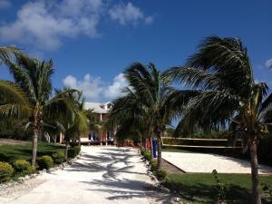 a street with palm trees in front of a house at Beautiful Island Villa - Beach Access on Private 2 Acres in Moss Town