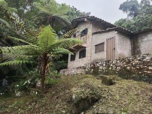 a house with a palm tree next to a building at Posada Filo Alto 