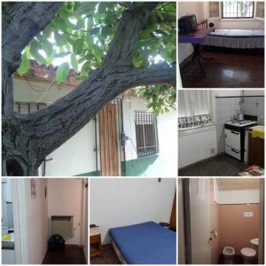 un collage de fotos de un árbol y una habitación en PH Los Nietos en Quequén