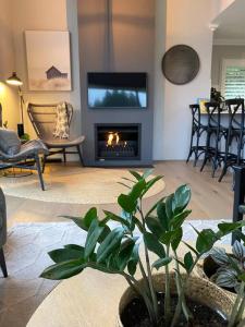 a living room with a fireplace with a tv at Ralphie’s Villa 2 bed 2 bath with Valley views in Kangaroo Valley