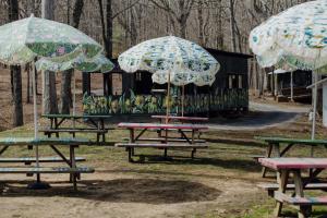 trzy stoły piknikowe z parasolami w parku w obiekcie Camp Swann w mieście Tracy City