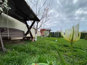 Imagen de la galería de Casa Dor de Lac, en Salcioara