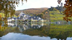 a large building on a hill next to a body of water at Beilsteiner Ferienwohnungen in Beilstein