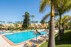 een zwembad in het resort met palmbomen bij Blue Pearl in La Oliva