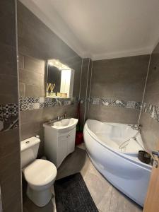 een badkamer met toilet, bad en wastafel bij Red Corner Central Apartment in Cluj-Napoca
