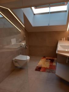 a bathroom with a toilet and a sink and a skylight at Haus Stolz in Appiano sulla Strada del Vino