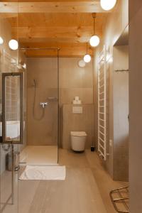 a bathroom with a shower and a toilet at Apartmány Kopacka in Svitavy