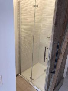W łazience znajduje się prysznic ze szklanymi drzwiami. w obiekcie Appartement centre ville Quimper avec terrasse w mieście Quimper