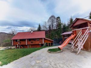 a house with a slide in front of a house at Котедж в Карпатах in Huklyvyy
