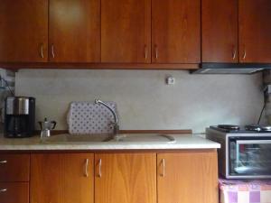 a kitchen with a sink and a microwave at Estia Tsialiki in Kato Pedina +23 photos