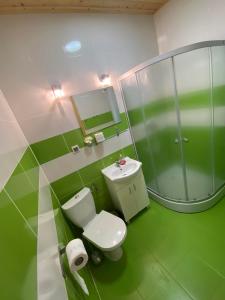 a green and white bathroom with a toilet and a sink at Domki letniskowe Na Stoku in Władysławowo