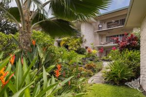 einen Garten vor einem Gebäude mit Pflanzen in der Unterkunft Hale Hāhālua - Hale Hahalua - Serenity and Ocean Views in Kona now with AC in Kailua-Kona