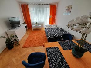 een woonkamer met een tafel en een televisie bij Kinga in Toruń