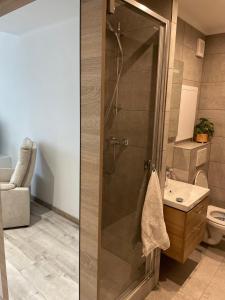 ein Bad mit einer Dusche und einem Waschbecken in der Unterkunft Apartman na kopci in Košice