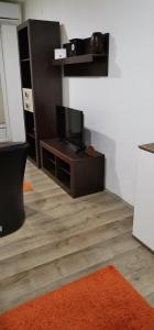 En TV eller et underholdningssystem på Apartman MAŠA