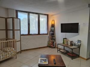 a living room with a flat screen tv and a couch at Le Nid du Chat Noir - Gîte La Maison Alvéole in Sciez