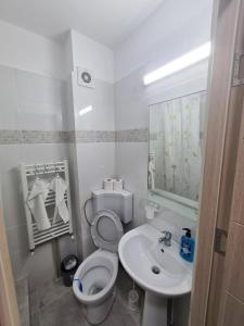 een kleine badkamer met een toilet en een wastafel bij Garsoniera lux Lorena&Kevin in Piteşti