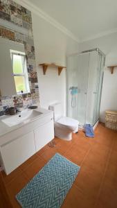 a bathroom with a toilet and a sink and a shower at Quinta Amaro AL in Angra do Heroísmo