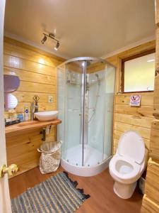 een badkamer met een douche, een toilet en een wastafel bij Loft Cabaña El Recuerdo in Maipo