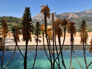 Fotografie z fotogalerie ubytování Sky Garden Mallorca - Ca'n Tomeu v destinaci Bunyola