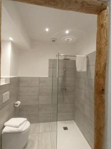 a bathroom with a toilet and a glass shower at Tenuta di Venere in Portovenere