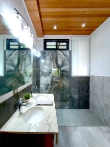 uma casa de banho com um lavatório e um chuveiro em Dragonfly Beach Retreat Beachfront Casitas-Adult Only em Punta Uva