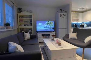 sala de estar con 2 sofás y TV en Marta's Home-cozy appartment near the Airport, en Andselv