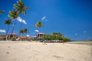 einen Strand mit Palmen und Häuser darauf in der Unterkunft Villa Maorie 5 chambres avec piscine privée in Le François