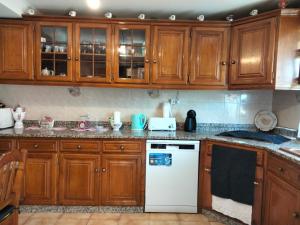 a kitchen with wooden cabinets and a white dishwasher at Casa da Emilia do Gerês in Outeiro