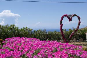 a heart made out of flowers in a garden at Paradisia Villas in Tourlos