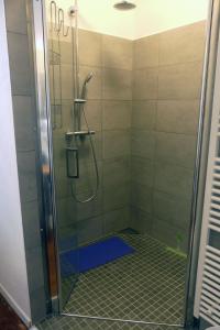 a shower with a glass door in a bathroom at Schöne Ferienwohnung am nordwestlichen Rand des Taunus in Hünfelden