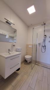 ein Bad mit einem WC, einem Waschbecken und einer Dusche in der Unterkunft Hotel Konopielka in Zblewo