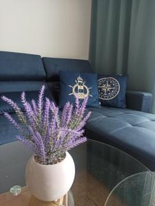 a living room with a blue couch and purple plants at Apartament Baltic Sea -Przystań Letnica in Gdańsk