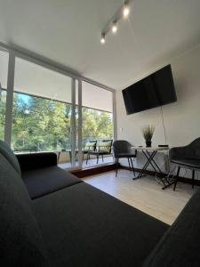 Una sala de estar con un sofá y un televisor de pantalla plana. en Departamento ALTA Vista Pucon, en Pucón