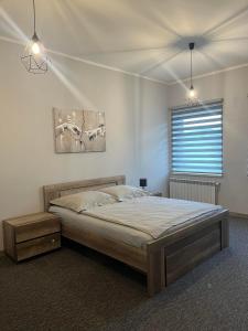 a bedroom with a large bed and a window at Noclegi Zator Energylandia in Spytkowice