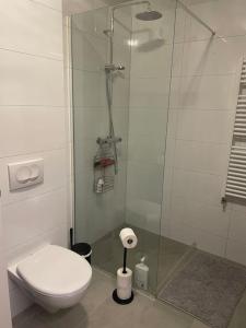 a bathroom with a toilet and a glass shower at Beautiful apartment near Airport in Njarðvík