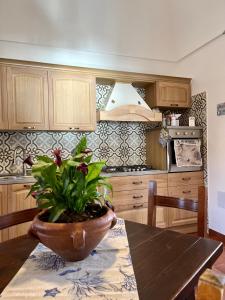 Foto dalla galleria di Dammuso U Granatu a Pantelleria