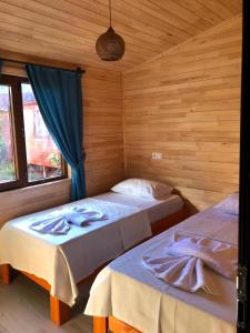 two beds in a room with wooden walls at Anka Bungalov Hotel in Kemer