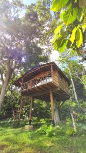 Taman di luar Moradia da Mata