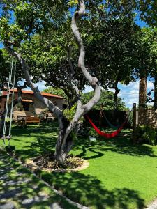 a tree in a yard with a red rope around it at Pousada Solar das Fontes in Beberibe