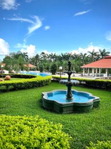 a fountain in the middle of a field of grass at Copantl Hotel & Convention Center in San Pedro Sula