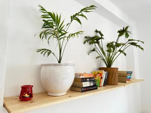 a shelf with two potted plants and books at Home with a sea view in Essaouira