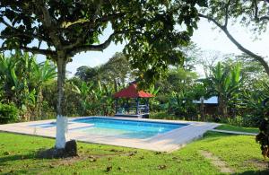 a swimming pool in a yard with a tree at El Prado EcoHotel in Montenegro